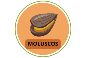 Representación de Alérgeno moluscos